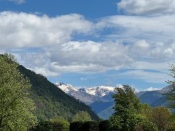 losone-7